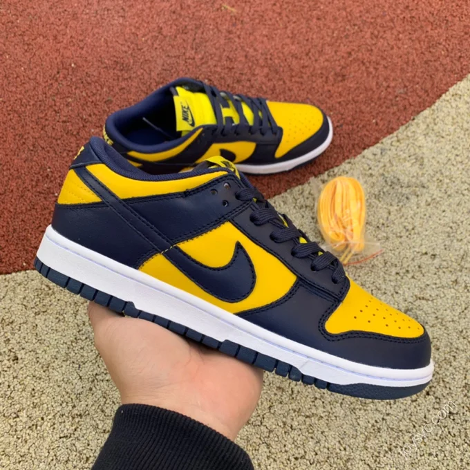 Nike Dunk Low 