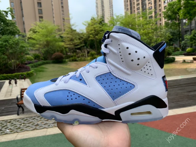 Air Jordan 6 