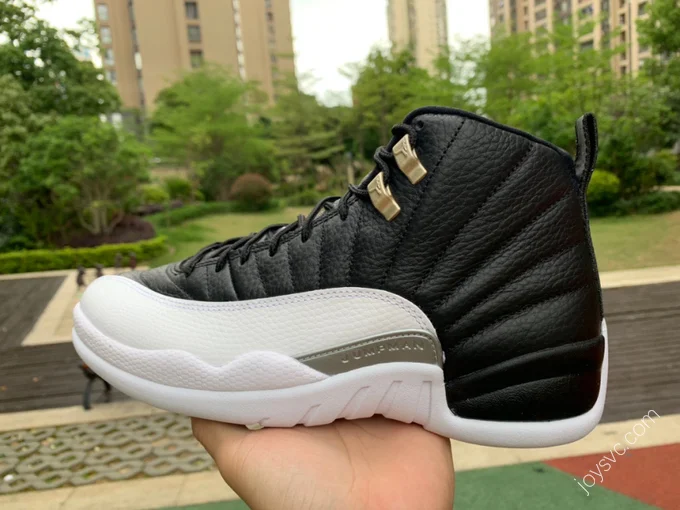 Air Jordan 12 