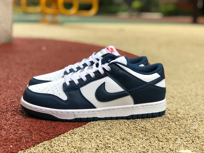 Nike Dunk Low Retro 