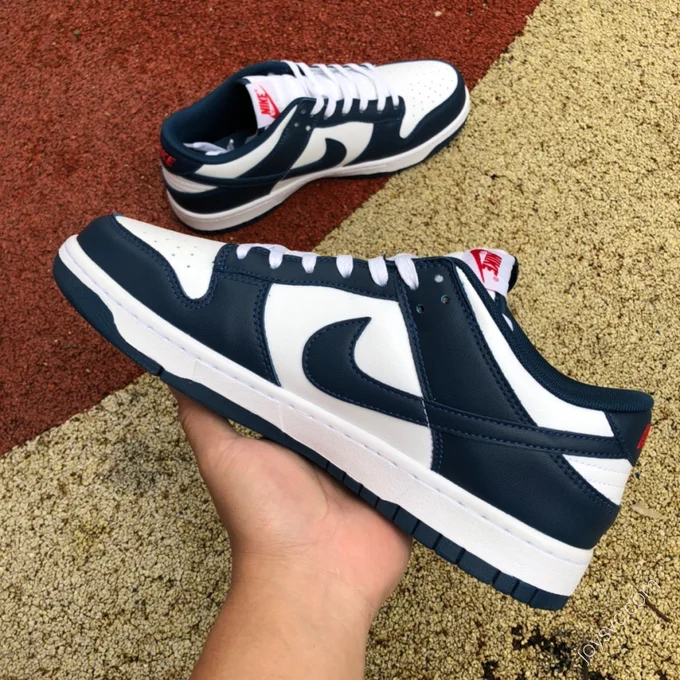 Nike Dunk Low Retro 