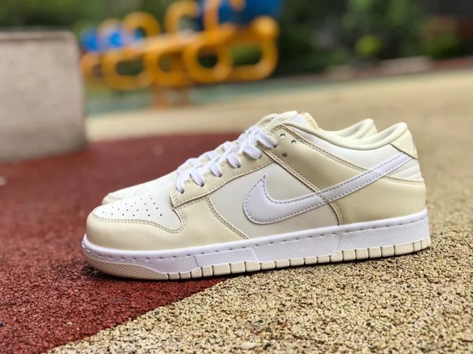 Nike Dunk Low 