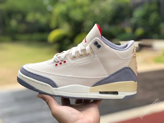 Air Jordan 3 Retro SE 