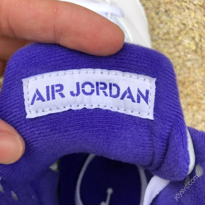 Air Jordan 5 