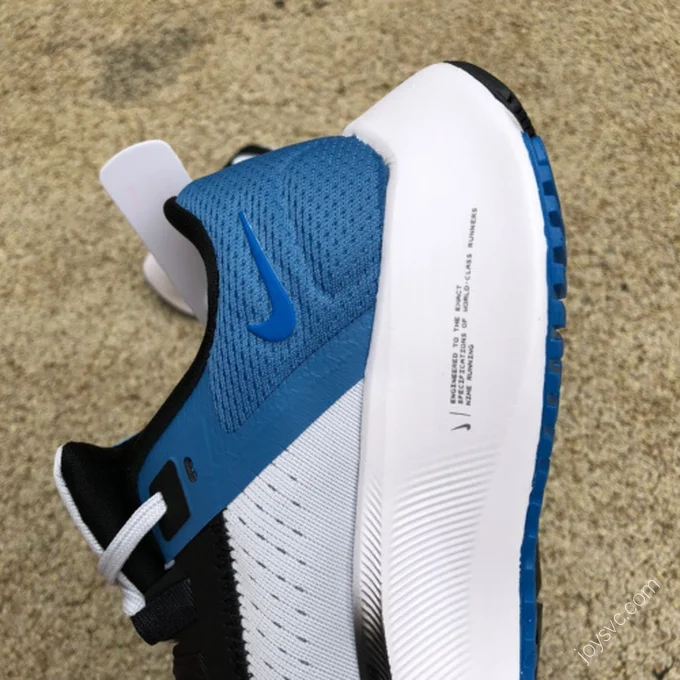 Nike Air Zoom Pegasus 38 Blue White CW7356-009