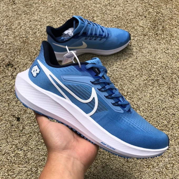 Nike Air Zoom Pegasus 39 Blue White DR1967-400