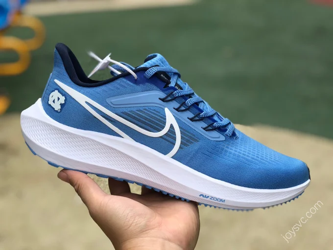 Nike Air Zoom Pegasus 39 Blue White DR1967-400