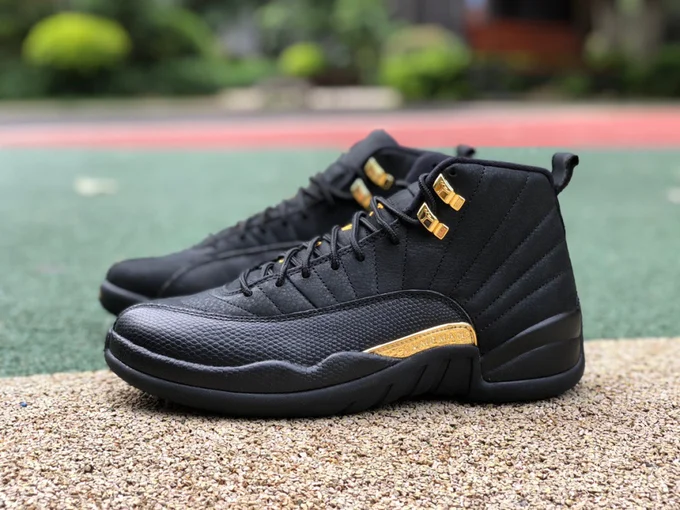 Air Jordan 12 