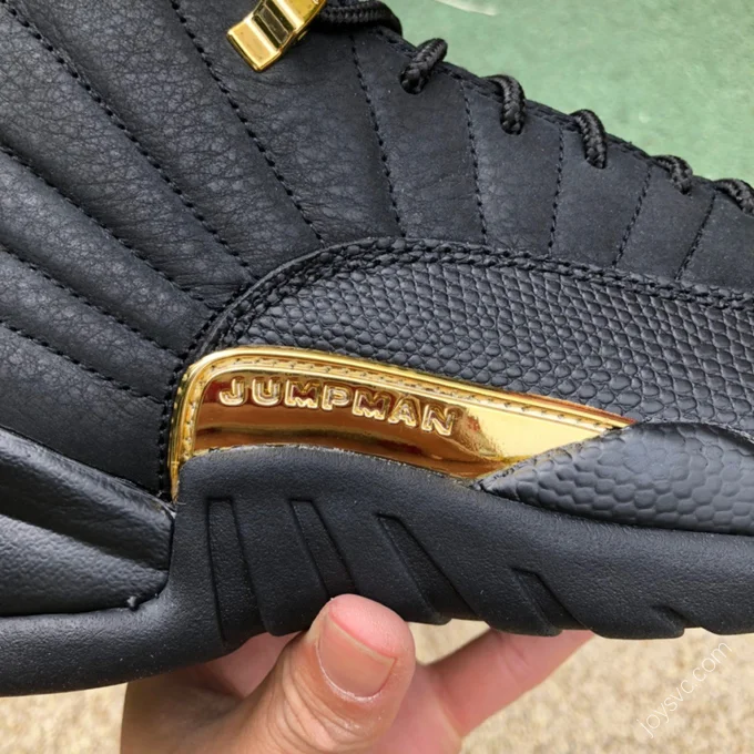 Air Jordan 12 