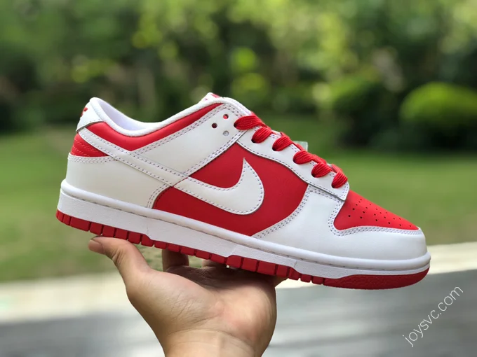 Nike Dunk Low 