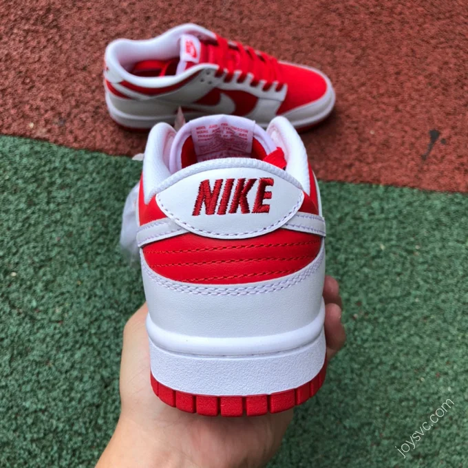 Nike Dunk Low 