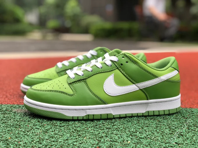 Nike Dunk Low Retro Green DJ6188-300