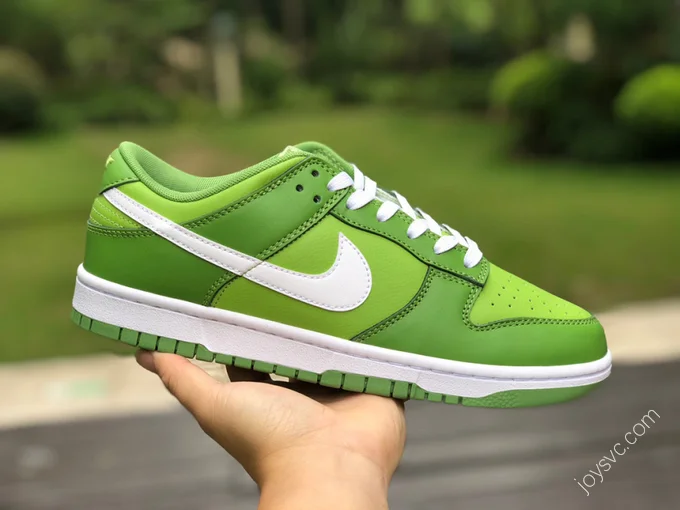 Nike Dunk Low Retro Green DJ6188-300