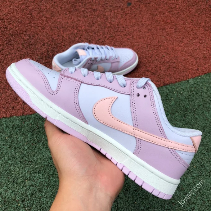 Nike Dunk Low Blue Purple Pink DD1503-001