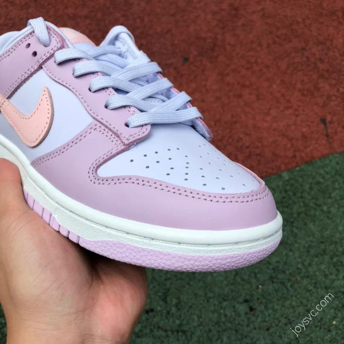 Nike Dunk Low Blue Purple Pink DD1503-001