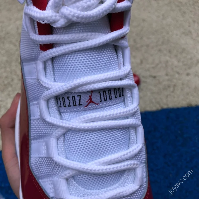 Air Jordan 11 