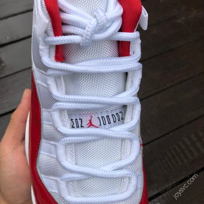 Air Jordan 11 