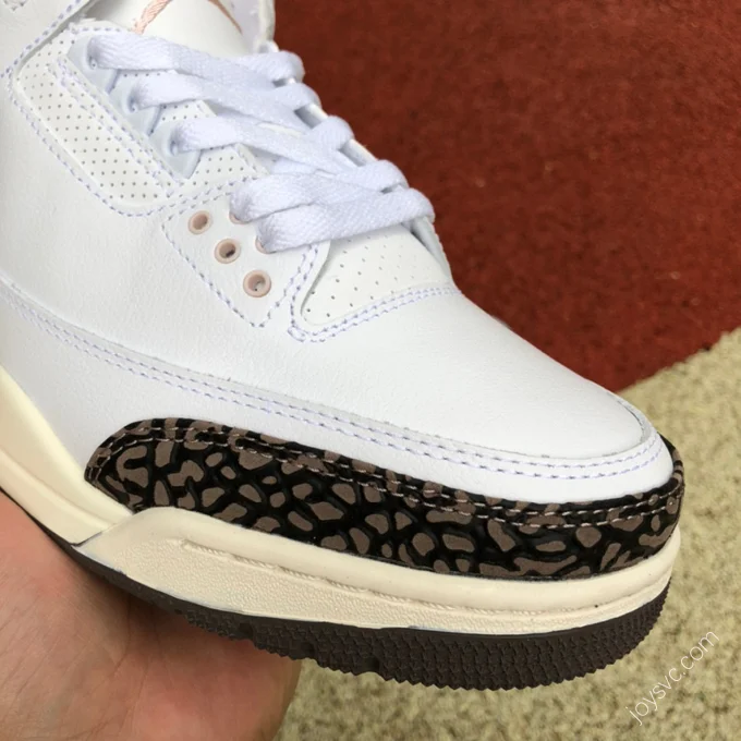 Air Jordan 3 