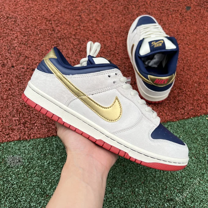 Nike Dunk SB Low Pro 