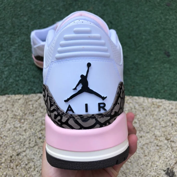 Air Jordan 3 