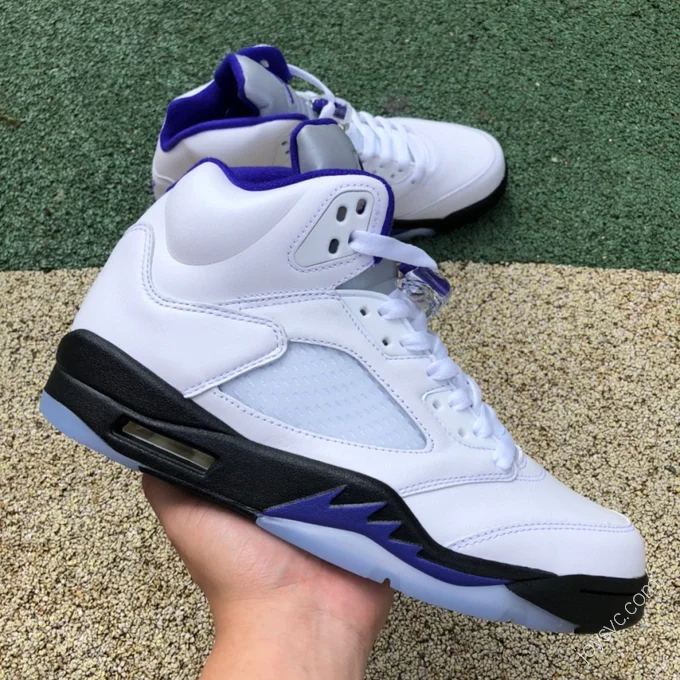 Air Jordan 5 