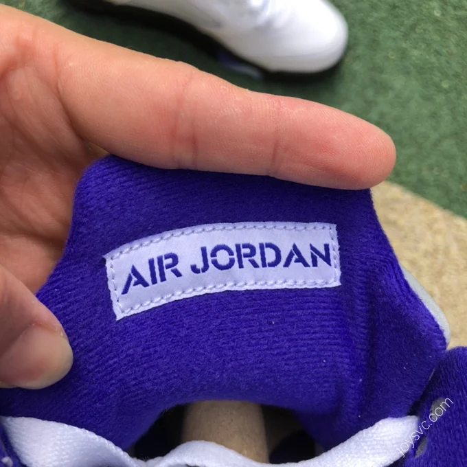 Air Jordan 5 