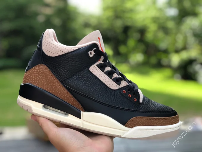 Air Jordan 3 