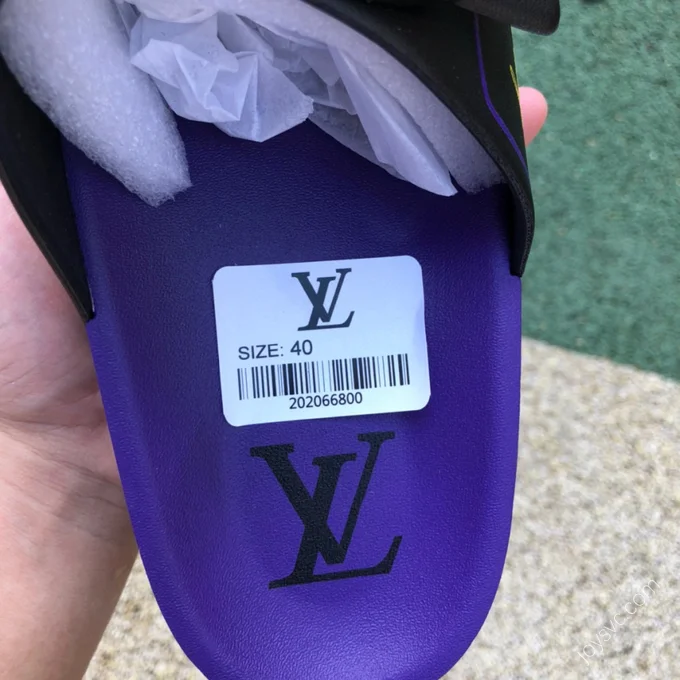 LOUIS VUITTON Slides Black Purple