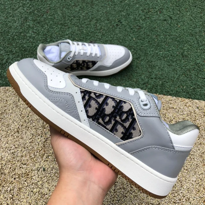 Dior B27 Grey White