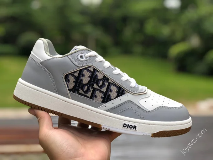 Dior B27 Grey White