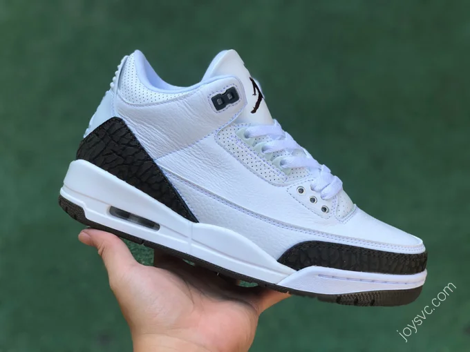 Air Jordan 3 