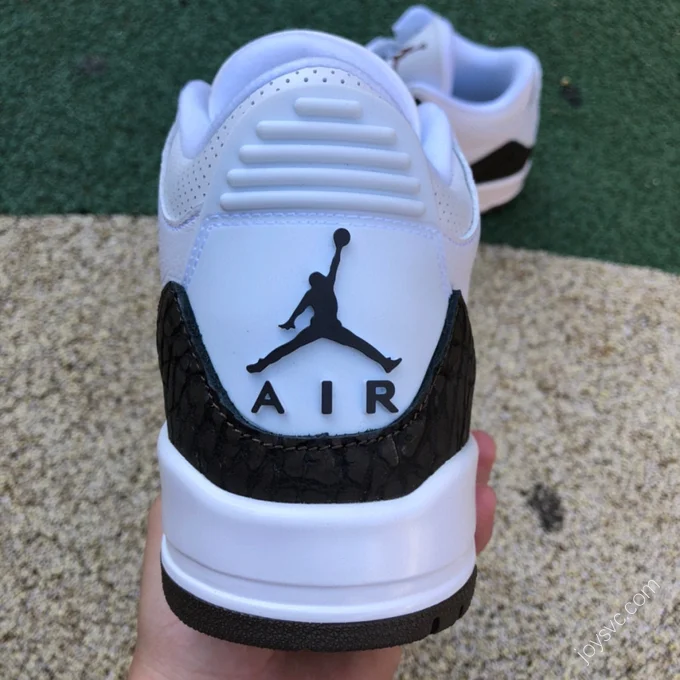 Air Jordan 3 