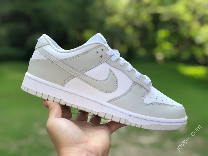 Nike Dunk Low White Grey DD1503-103