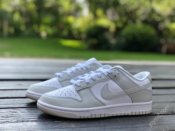 Nike Dunk Low White Grey DD1503-103