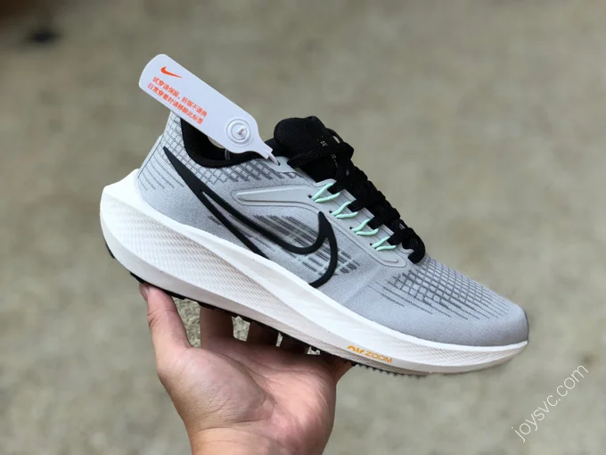 Nike Air Zoom Pegasus 39 Grey White DH4071004