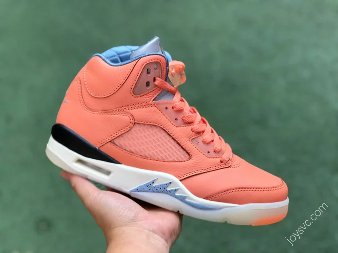 Air Jordan 5 