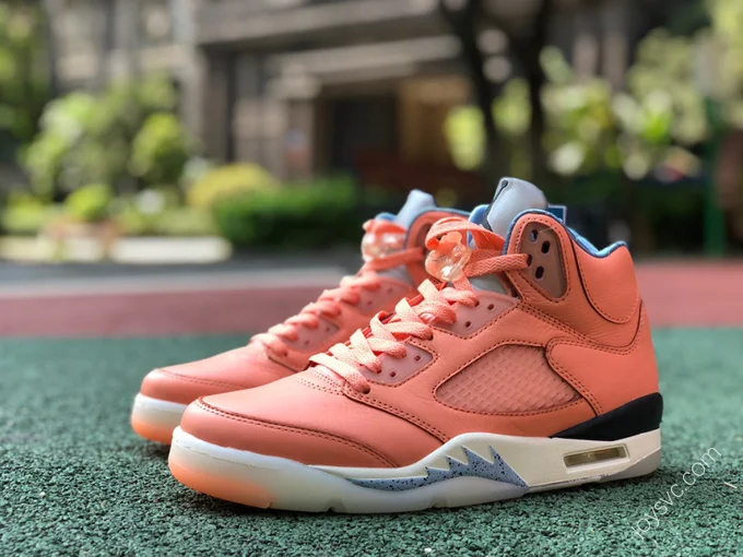 Air Jordan 5 