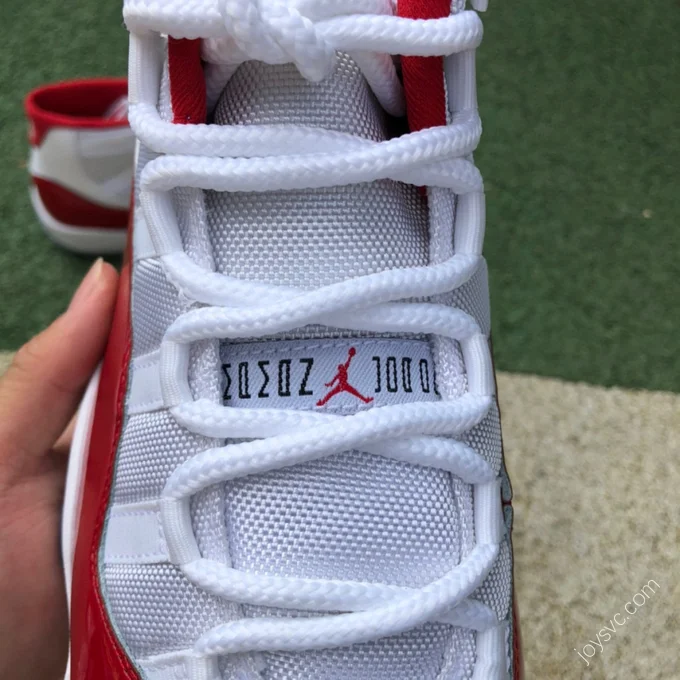 Air Jordan 11 