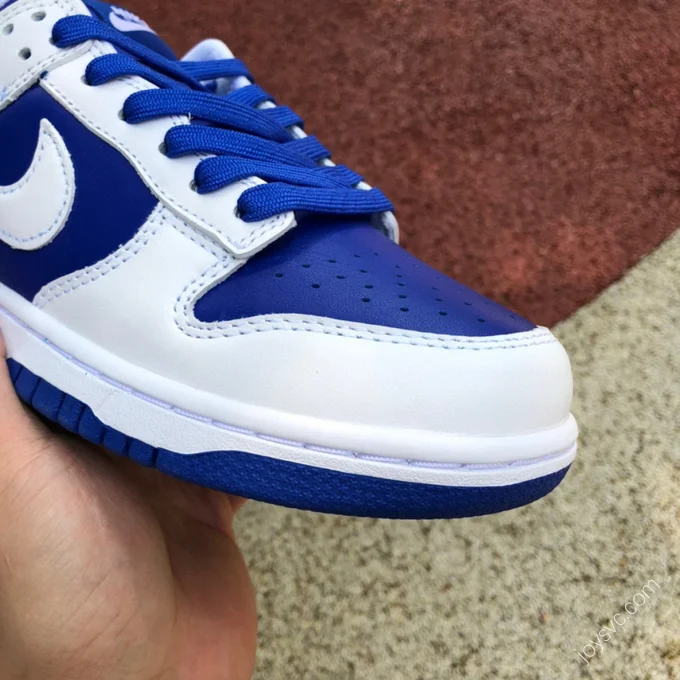 Nike Dunk Low Retro Blue White DD1391-401