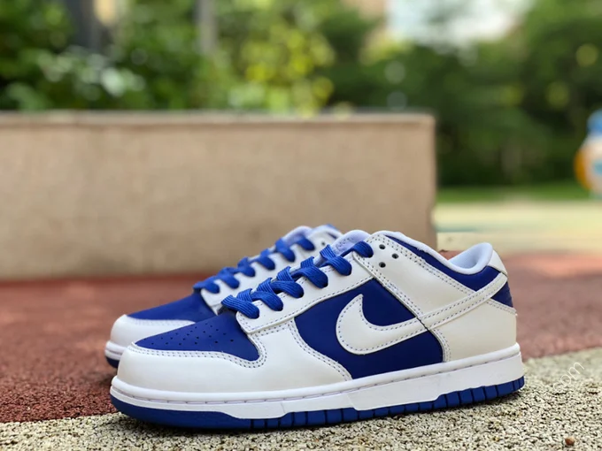 Nike Dunk Low Retro Blue White DD1391-401