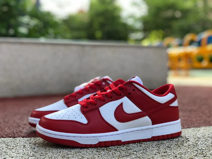 Nike Dunk Low SP 