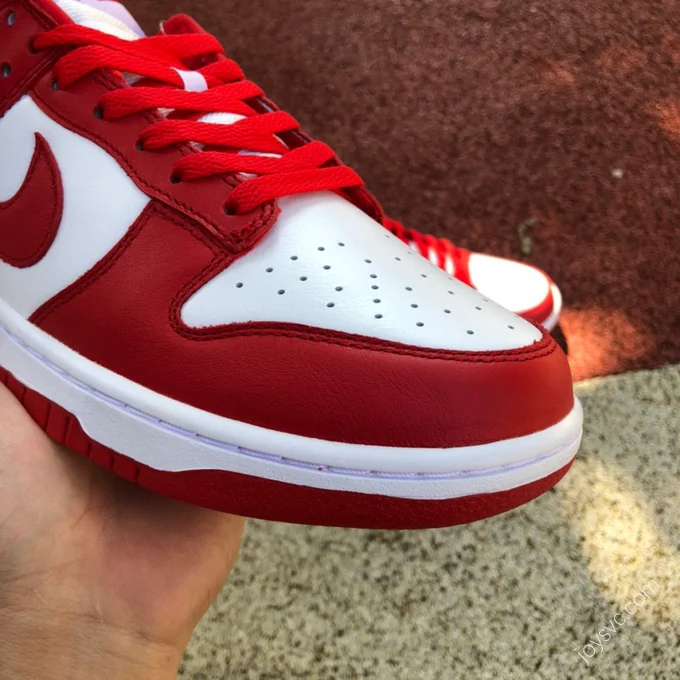 Nike Dunk Low SP 