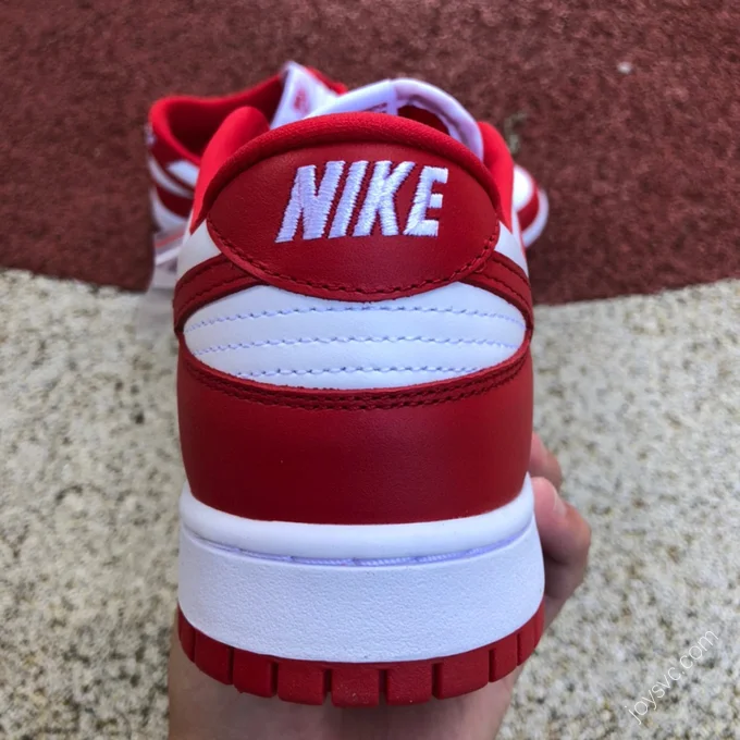 Nike Dunk Low SP 