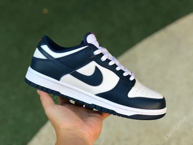 Nike Dunk Low Retro White Navy DD1391-400