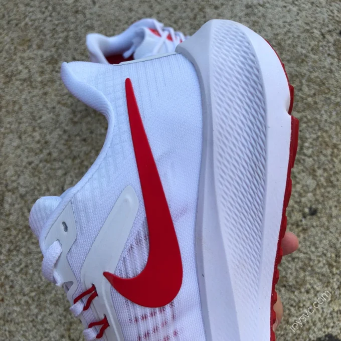 Nike Air Zoom Pegasus 39 Red White DH4072-103