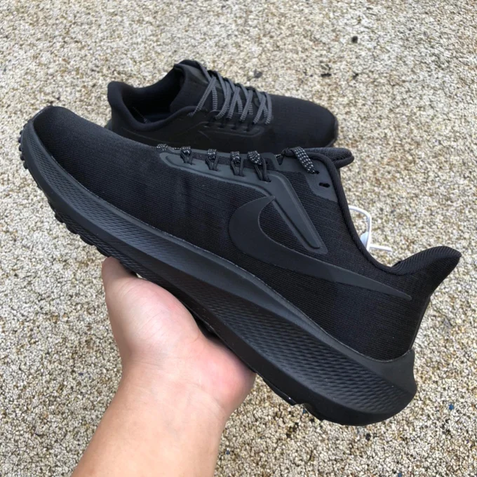 Nike Air Zoom Pegasus 39 Black DH4071-006