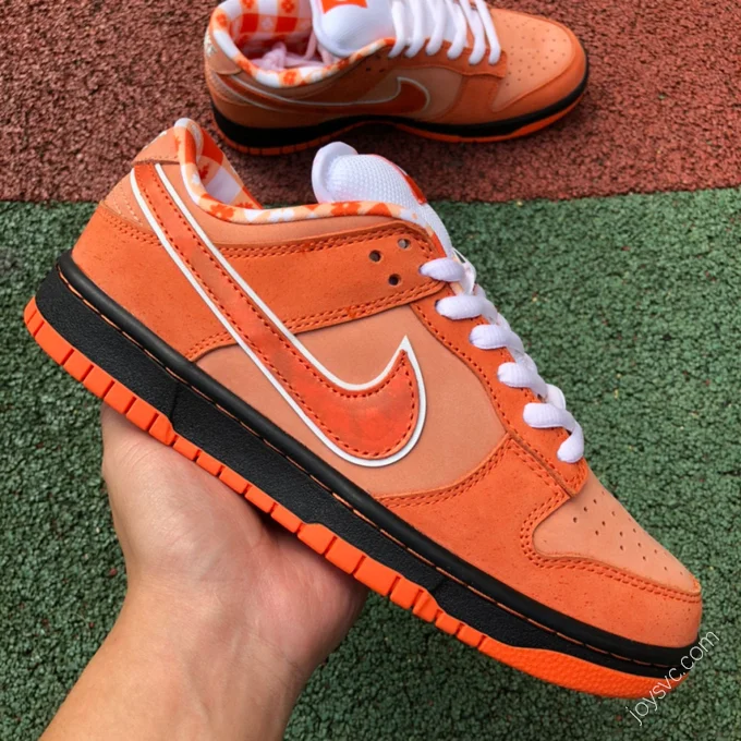 Concepts x Nike SB Dunk Low 