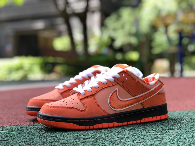 Concepts x Nike SB Dunk Low 