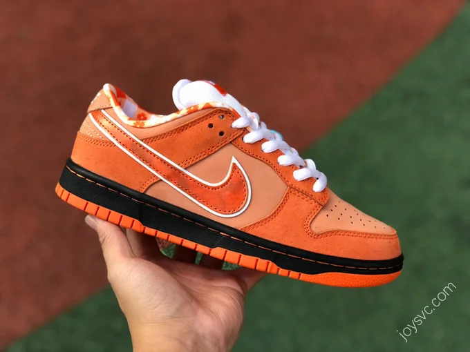 Concepts x Nike SB Dunk Low 