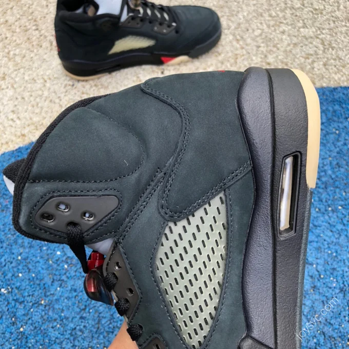 Air Jordan 5 Gore-Tex 